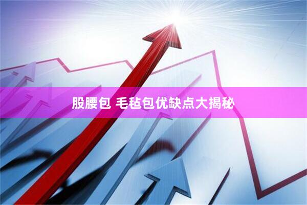 股腰包 毛毡包优缺点大揭秘