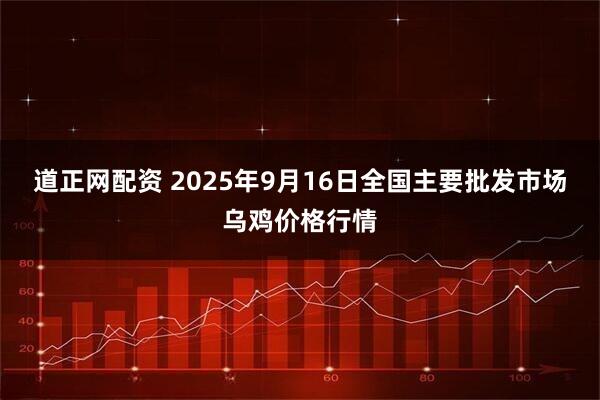 道正网配资 2025年9月16日全国主要批发市场乌鸡价格行情
