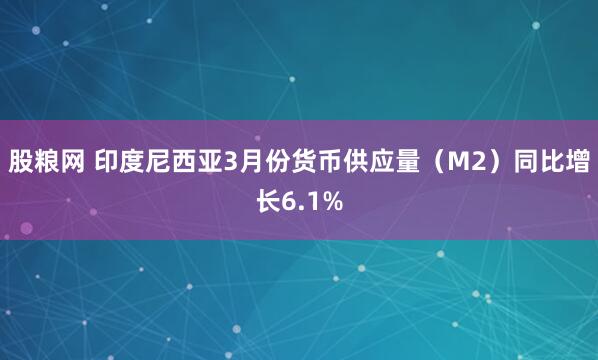 股粮网 印度尼西亚3月份货币供应量（M2）同比增长6.1%