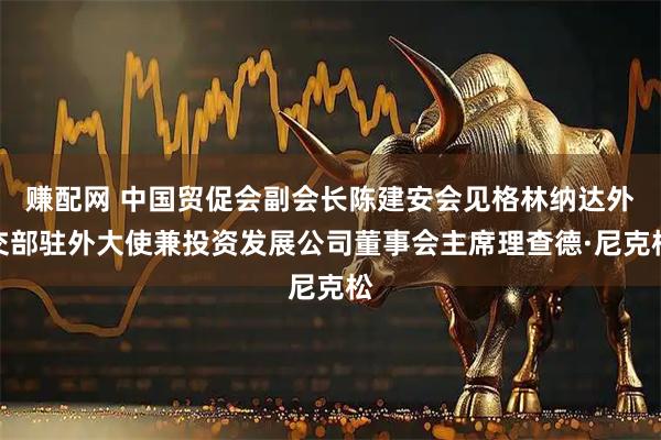 赚配网 中国贸促会副会长陈建安会见格林纳达外交部驻外大使兼投资发展公司董事会主席理查德·尼克松