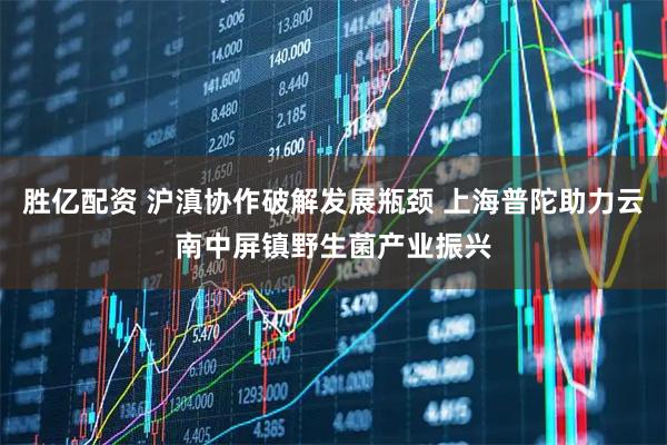 胜亿配资 沪滇协作破解发展瓶颈 上海普陀助力云南中屏镇野生菌产业振兴