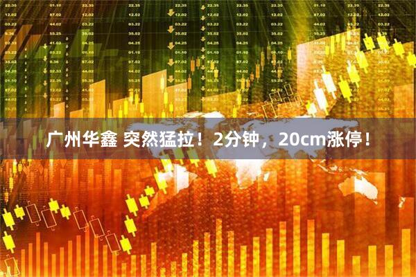广州华鑫 突然猛拉！2分钟，20cm涨停！