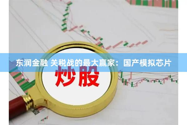 东润金融 关税战的最大赢家：国产模拟芯片