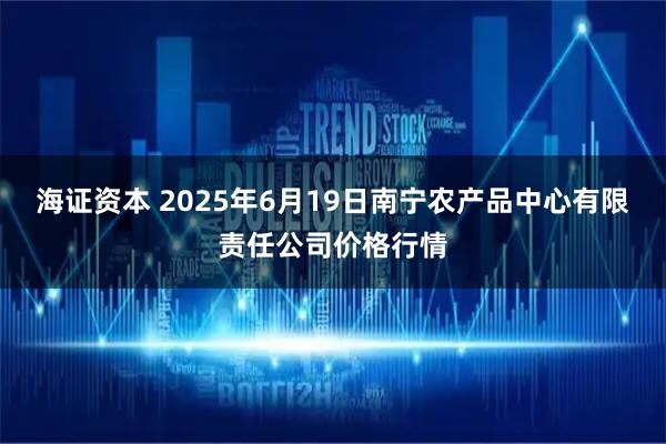 海证资本 2025年6月19日南宁农产品中心有限责任公司价格行情