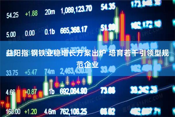 益阳指 钢铁业稳增长方案出炉 培育若干引领型规范企业