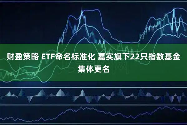 财盈策略 ETF命名标准化 嘉实旗下22只指数基金集体更名