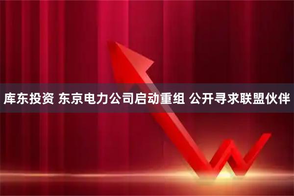 库东投资 东京电力公司启动重组 公开寻求联盟伙伴