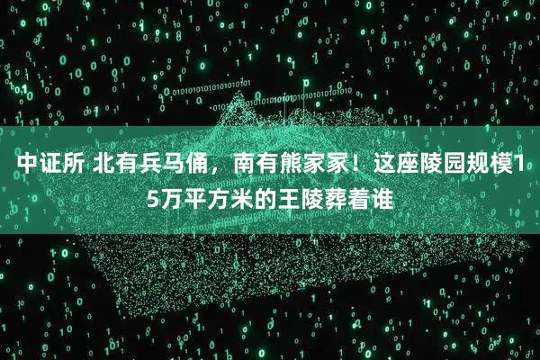 中证所 北有兵马俑，南有熊家冢！这座陵园规模15万平方米的王陵葬着谁